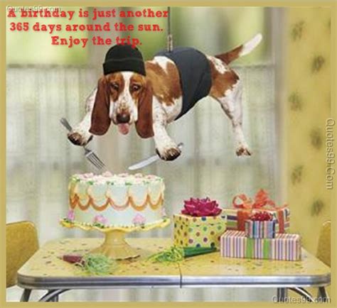 wishing you the happiest of birthdays, funny birthday quotes, birthday quotes fun pictures ...