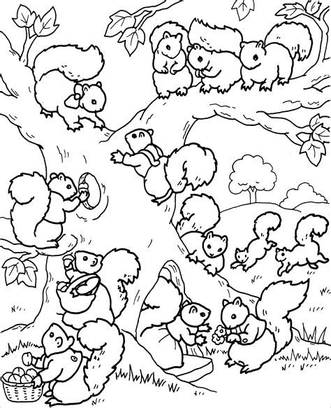 Squirrel Coloring Pages - ColoringBay