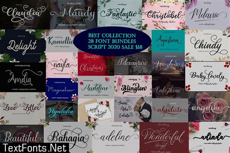 Best Collection 28 Font Bundles Script