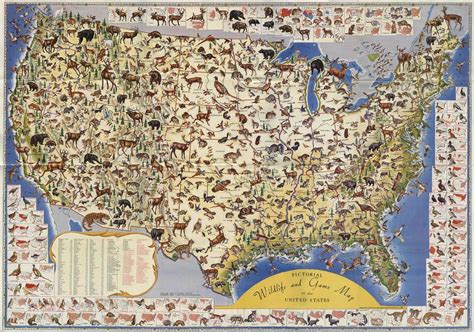 As an animal lover, it doesn't get much better than this - United States Wildlife Map [1660x1164 ...