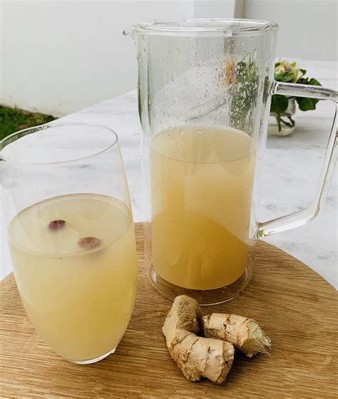 Homemade Alcoholic Ginger Beer Recipe South Africa | Bryont Blog