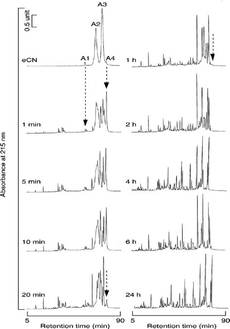 RP-HPLC elution from a C18 column of the peptides generated by plasmin... | Download Scientific ...