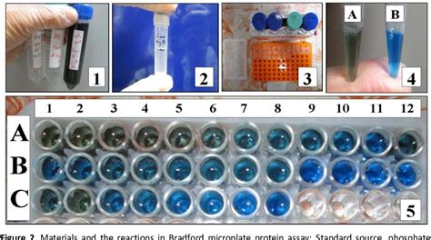 Figure 4 from Determination of Protein Concentration Using Bradford ...