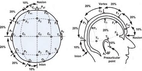 The International 10-20 System of Electrodes Placement. (Redrawn from... | Download Scientific ...