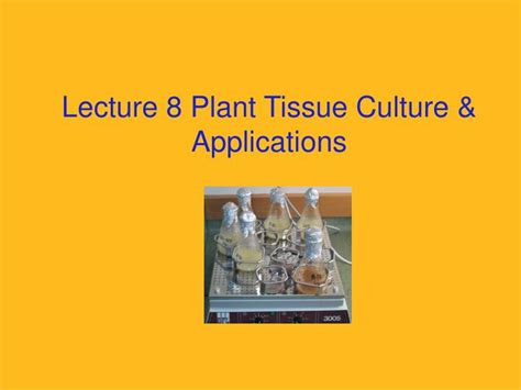 PPT - Lecture 8 Plant Tissue Culture & Applications PowerPoint Presentation - ID:1130021