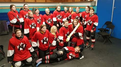 Hockey New Brunswick considers axing co-ed minor teams | CBC News