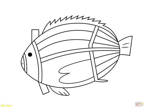 X Ray Fish Coloring Page at GetColorings.com | Free printable colorings ...