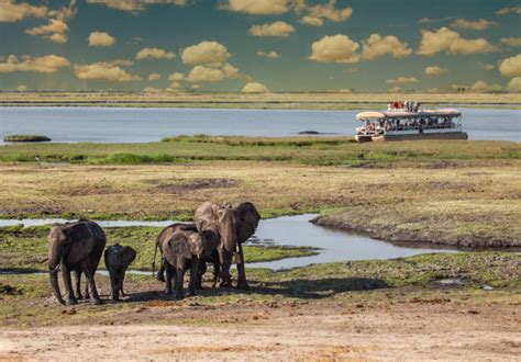 Exploring the Natural Wonders and Wildlife Adventures of Kasane – Traverse Botswana