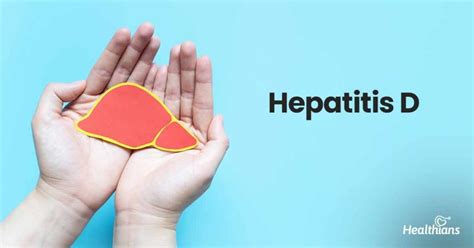 Hepatitis D: Symptoms, causes, diagnosis, treatment, and prevention