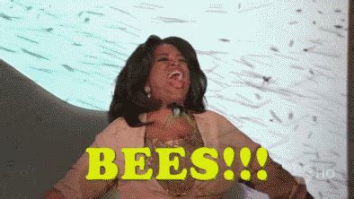 You All Get Bees GIFs - Find & Share on GIPHY