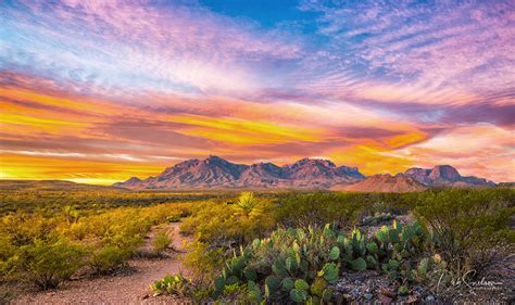 First Light on Chisos Mountains