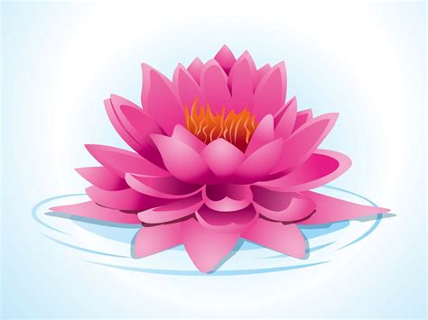 Pink Lotus Vector Art & Graphics | freevector.com