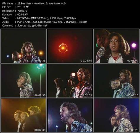 Bee Gees «How Deep Is Your Love» VOB File