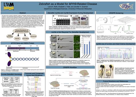 Graduate Cell and Molecular Biology Symposium Posters - Biological Sciences