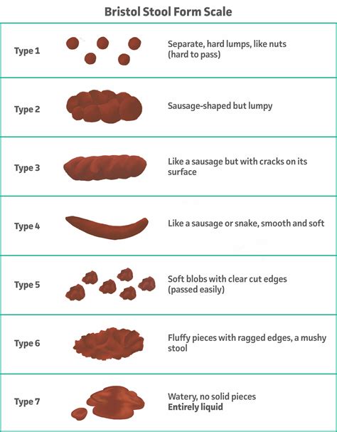 Bristol Stool Form Scale - MDCalc