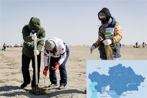 Eco-Volunteer Project Contributes to Aral Sea Restoration - The Astana Times