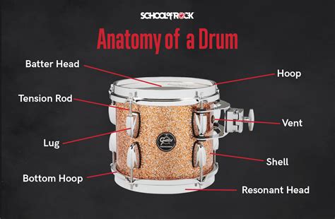 How to Tune Your Drums (2022)