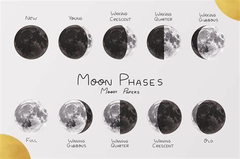 Moon Phases Board - Etsy