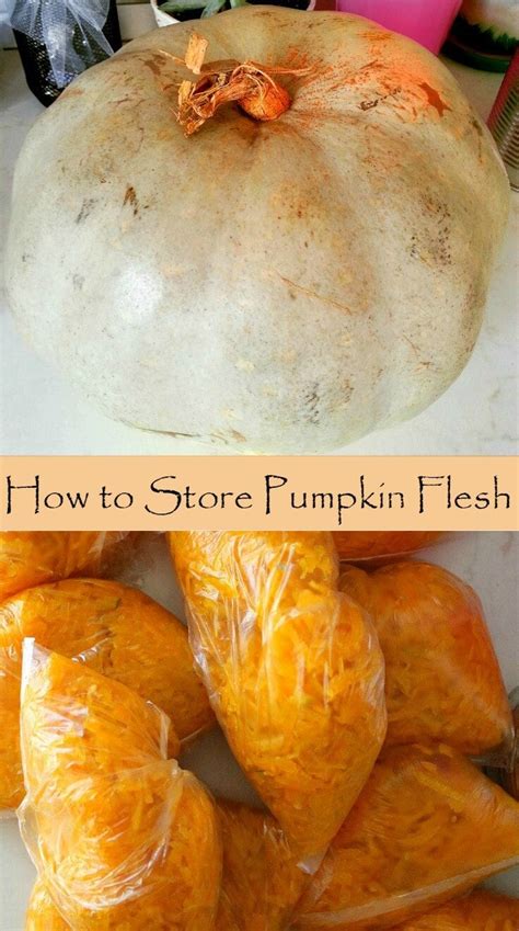 How to Store Pumpkin Flesh Over Winter