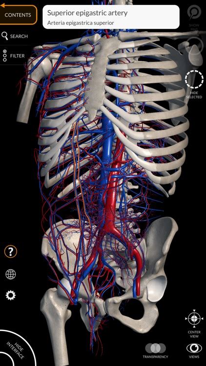 Anatomy 3D Atlas by Catfish Animation Studio