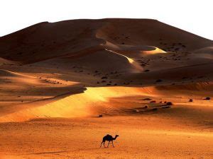 The Grand Erg Oriental: The Beautiful Dunes of Tunisia | TunisiaTV.com