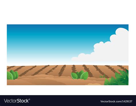 Farm field Royalty Free Vector Image - VectorStock