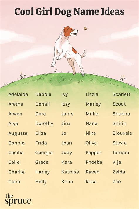 Best Female Dog Names 2024