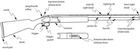 Double Barrel Shotgun Parts Diagram