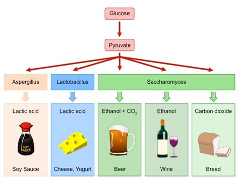 Savanyúságok – FerMentor Műhely