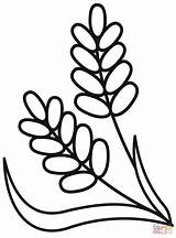 Wheat Coloring Page  Free Printable Coloring Pages sketch template