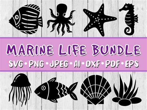 Marine Life SVG Bundle, Bundle of 8, Digital Download, Svg, Jpeg, Png, Dxf, Eps, Ai, PDF, Sea ...