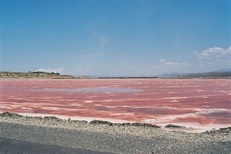 Lake Magadi, Kenya’s Pink Lake | Amusing Planet