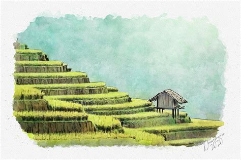 Rice Terraces in Thailand Painting by Dreamframer Art - Fine Art America