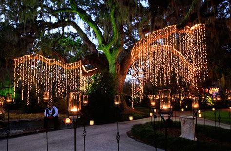 Brookgreen Gardens' Night of a Thousand Candles lights up the holidays ...