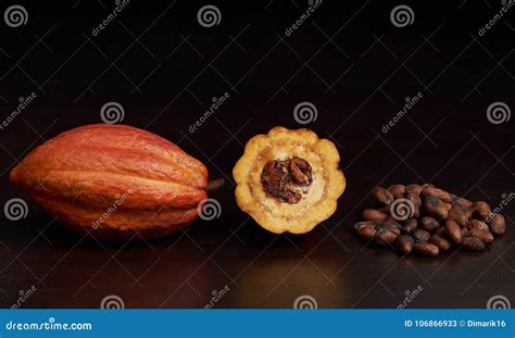 Different Stage of Cacao Pod Stock Image - Image of agriculture, plant ...