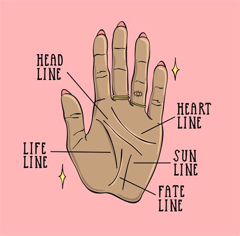 Types Of Hands In Palmistry