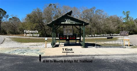 Flatwoods Park — Run Tampa | A Whole New Level Of Running