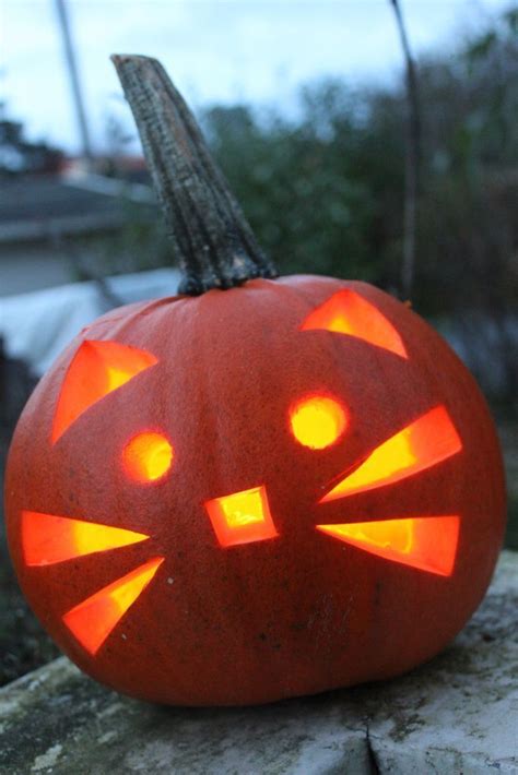 cat pumpkin #halloweenpumpkin Holiday and Event DIY Project Ideas and Tutorials | Project ...