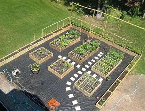 Raised Garden Boxes | Garden layout, Vegetable garden planning, Garden layout vegetable