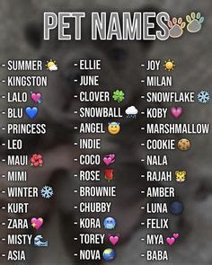 8 Nicknames Titles!! ideas | nicknames for friends, cute names for boyfriend, names for boyfriend