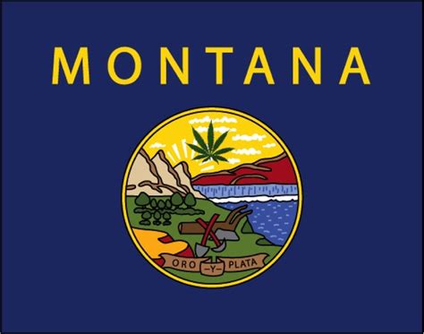 The Significance of Montana’s Medical Cannabis Vote - Legalize it. We Think So