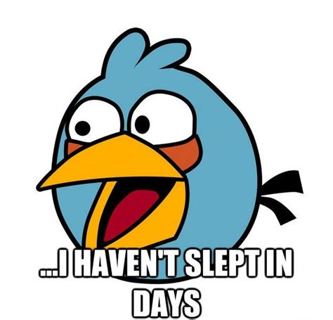 Angry Birds Memes - 5 That Will Make The Angry Bird Fan LOL!