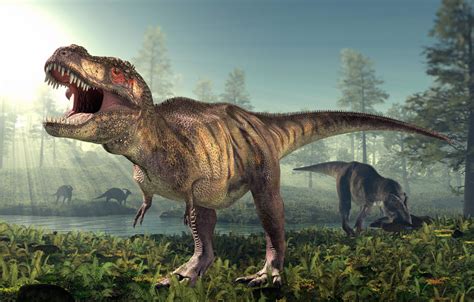 Absolutely everything you want to know about dinosaurs - BBC Science ...