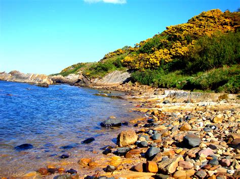 Fife Coastal Path, St Andrews | Fife coastal path, Scotland, Landscape