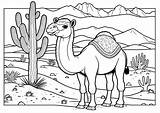 Dromedary In The Desert  Camels And Dromedaries Coloring Pages sketch template