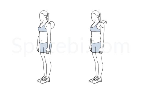 Shoulder Rolls | Illustrated Exercise Guide