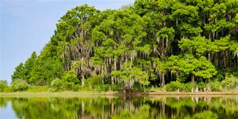 Everglades National Park, Wildlife Tourism in Florida - Traveldigg.com