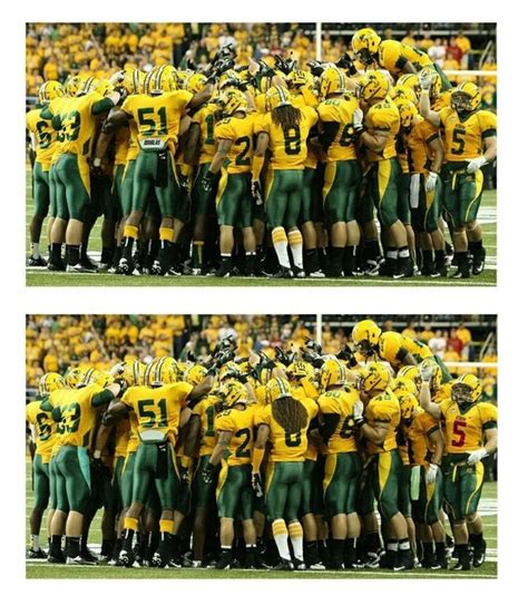 NDSU Division 1 FCS Championship Bison | Ndsu bison football, Bison ...