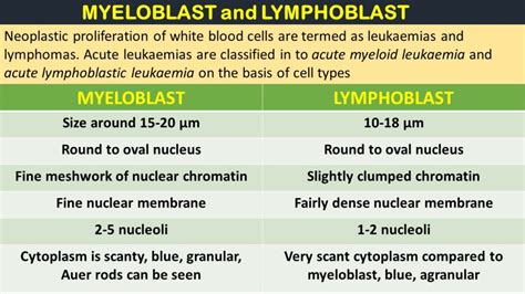 MYELOBLAST Vs LYMPHOBLAST - Pathology Made Simple