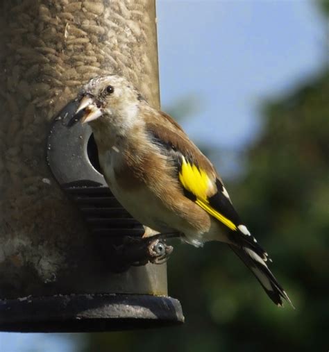 Lancashire and Lakeland Outback Adventure Wildlife Safaris: Nothing ...